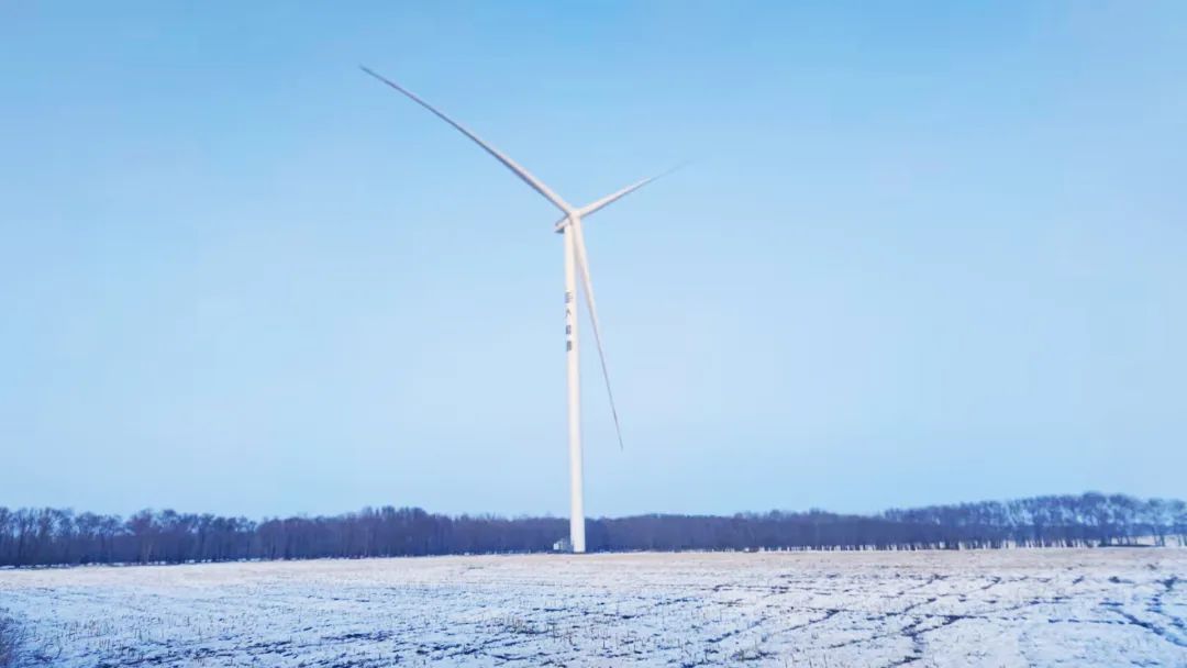 高质量交付！龙八国际股份多个项目交上并网考卷