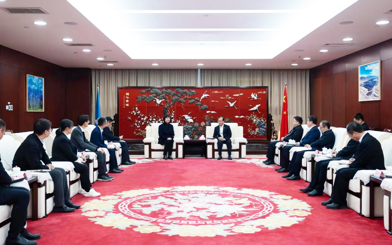 龙八国际股份董事长高玲拜访中国华电董事长江毅